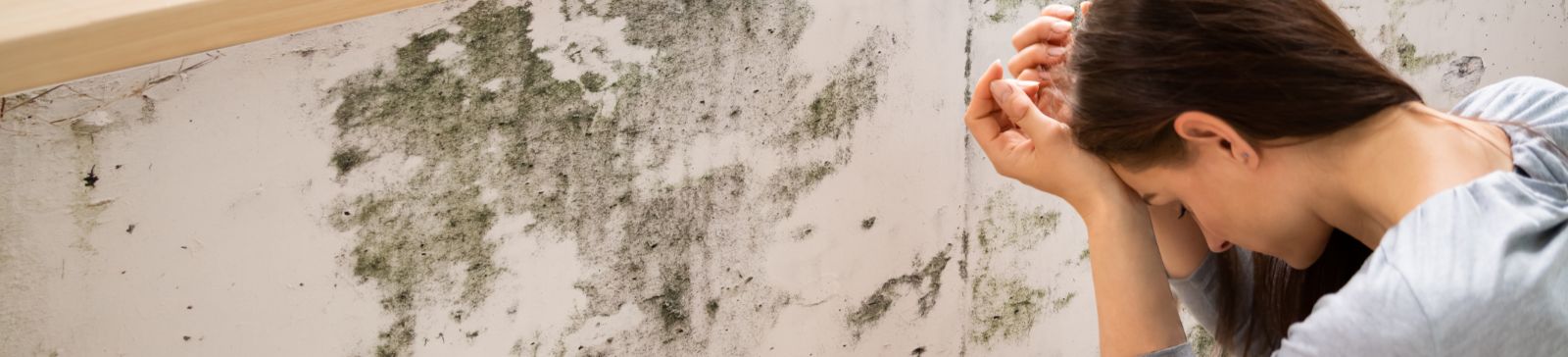 How to Get Rid of Mold on Drywall